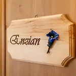 Appartement Schweizerhof Enzian